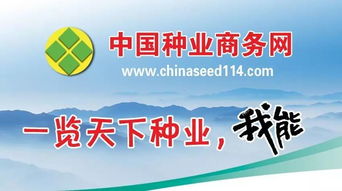 中國種業(yè)商務(wù)網(wǎng) 種子包裝二維碼系統(tǒng) 請您驗(yàn)收